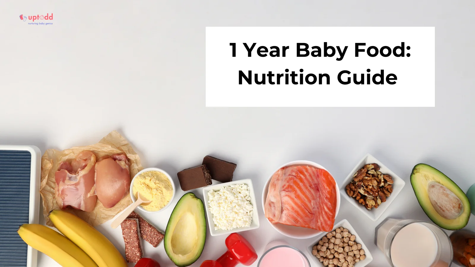 1 Year Baby Food – Complete Guide