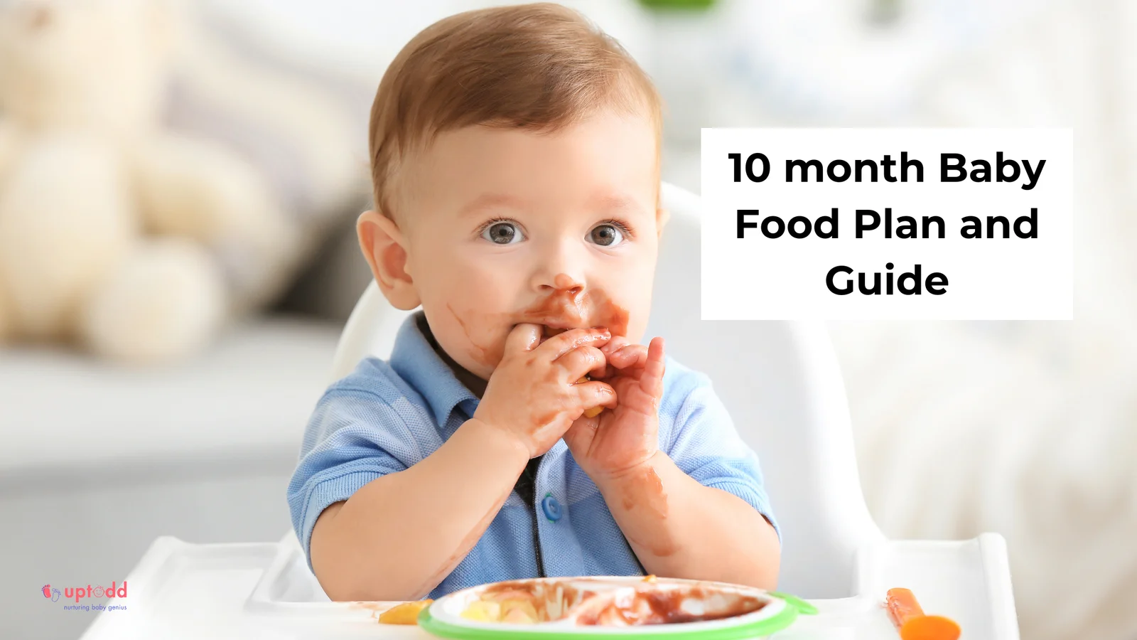 10 Month Baby Food – Complete Plan